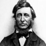 87632_f260.jpg